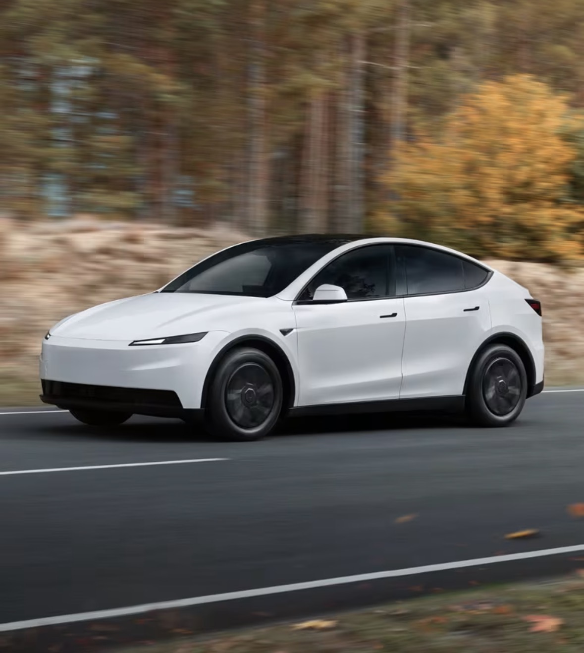2020 Tesla Model Y Juniper